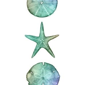 Meet your Posher, Ceara